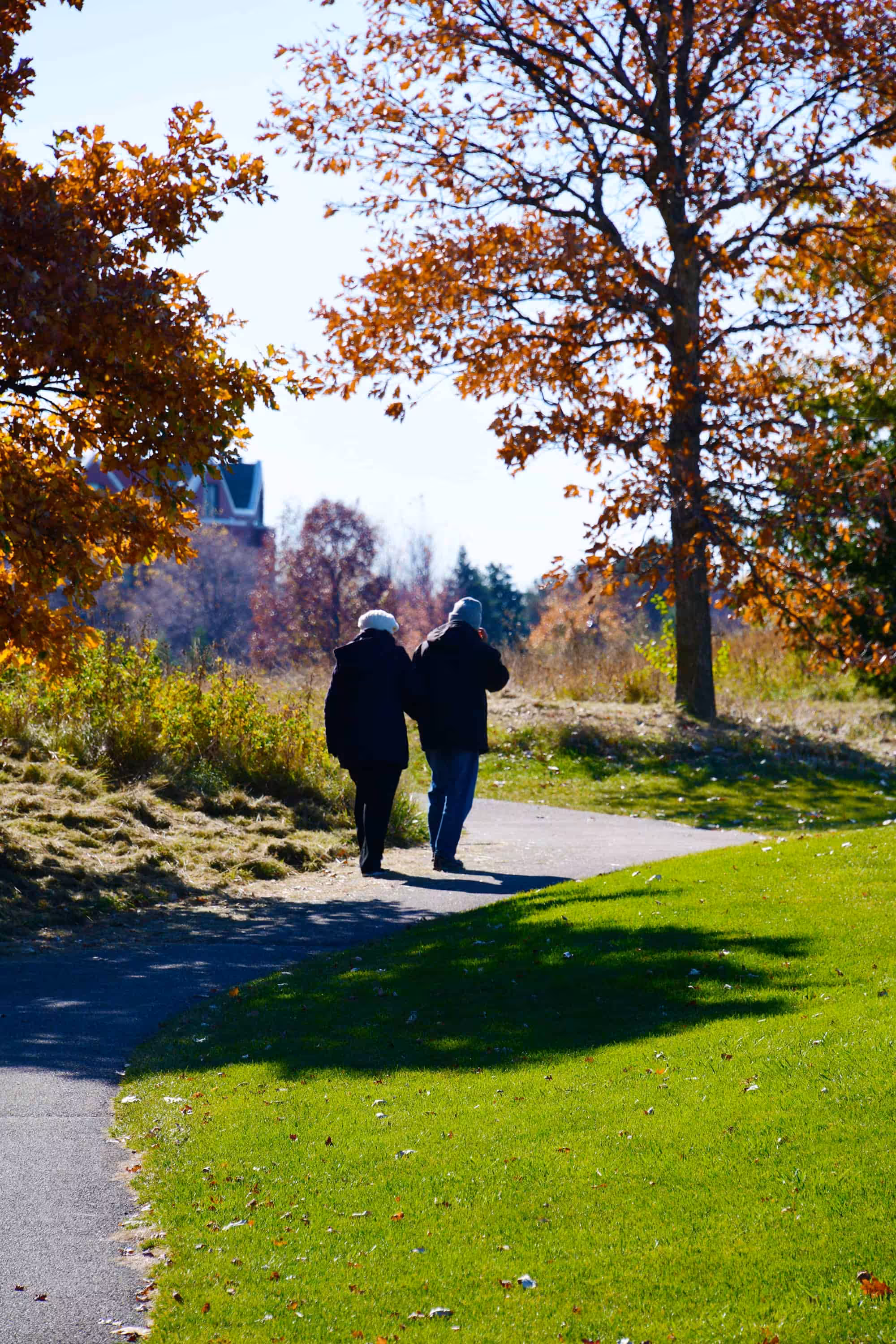 Two people walking in a park with autumn trees and green grass.