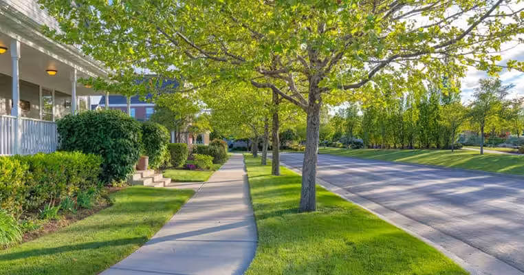 Sidewalk along Northfield Township Road District with trees and greenery.